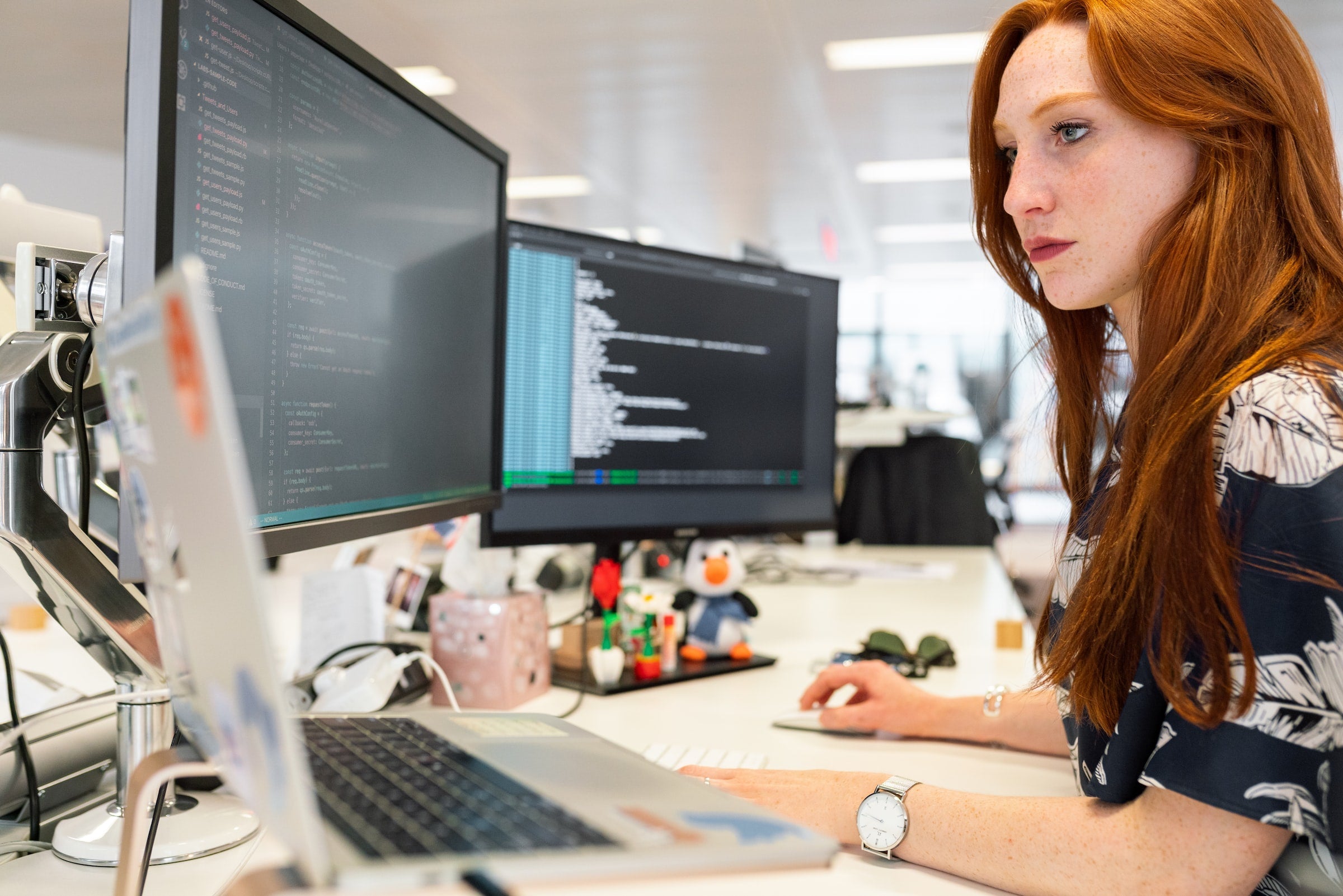 How to be a CAO | Career Guide