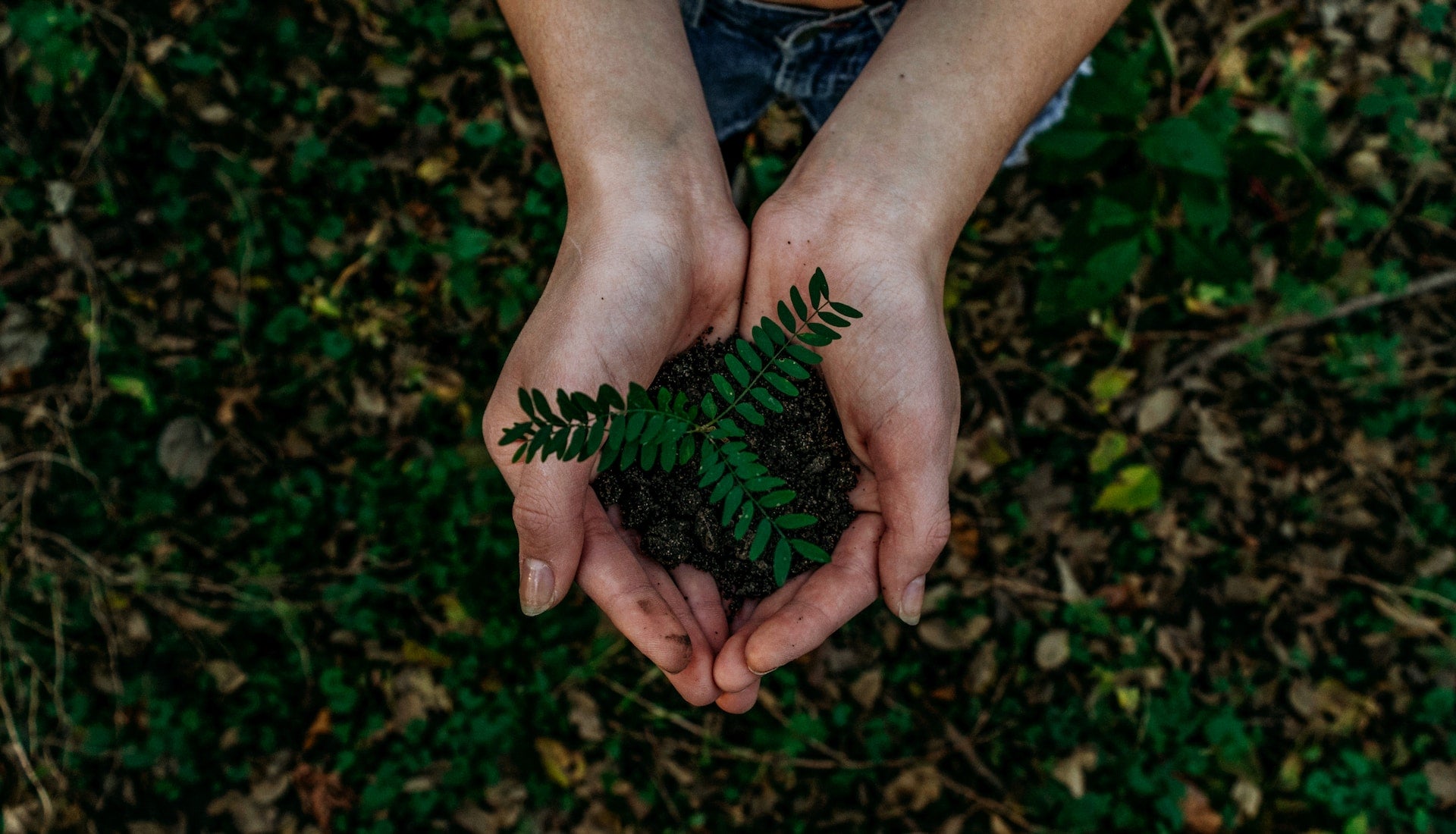 Digital business cards for sustainability