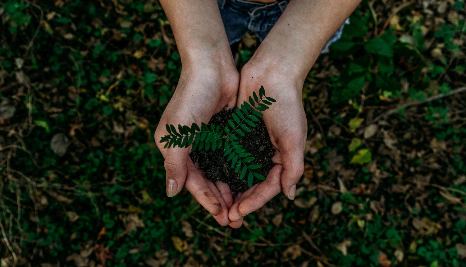 Digital business cards for sustainability